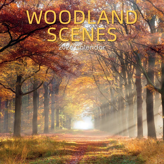 2026 Calendar Woodland Scenes