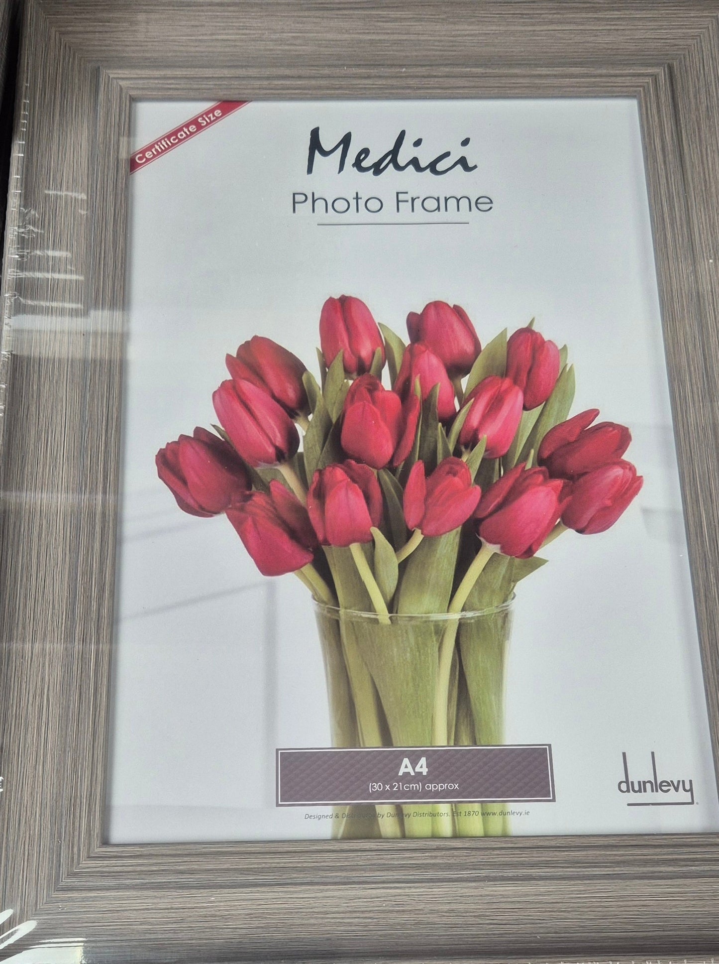 Grey Frame A4 Medici (No Mount)