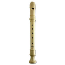 Maped Soprano Recorder Modern