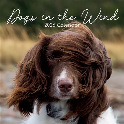2026 Calendar Dogs In The Wind