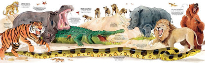 Big Book Of Animals