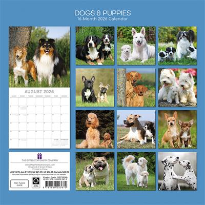 2026 Calendar Dogs & Pups