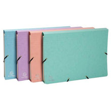 Exacompta 12 Part Expanding File
