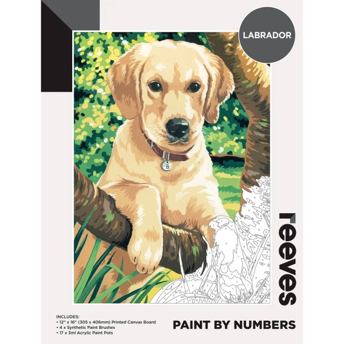 Reeves Paint by Numbers Labrador