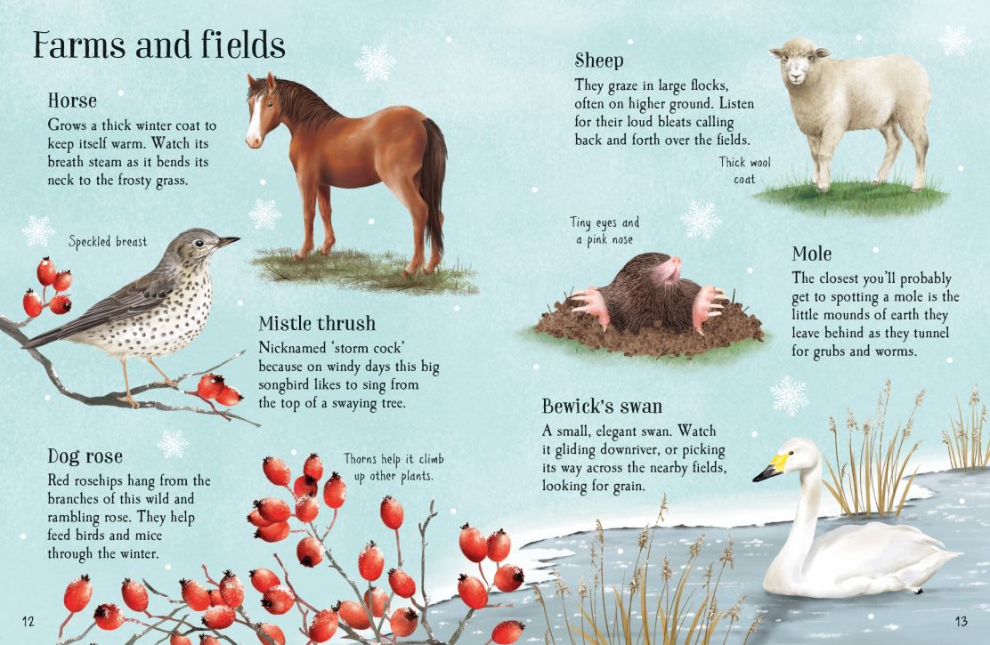 Things To Spot In Winter