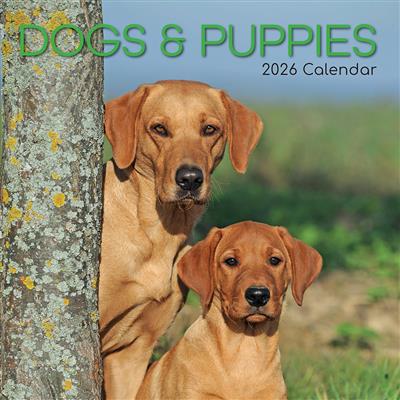 2026 Calendar Dogs & Pups