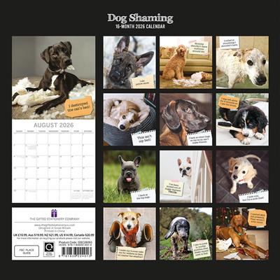 2026 Calendar Dog Shaming