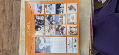 2026 Calendar Cat Naps
