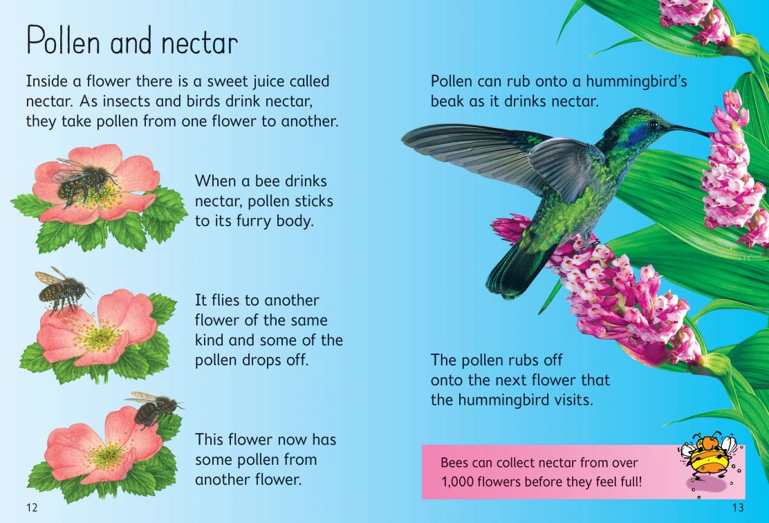 How Flowers Grow