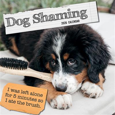 2026 Calendar Dog Shaming