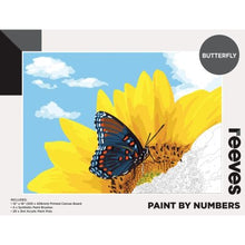 Reeves Paint by Numbers Butterfly