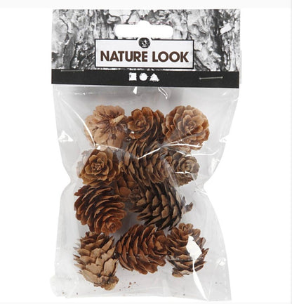 Larch Cones 12pk