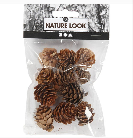 Larch Cones 12pk