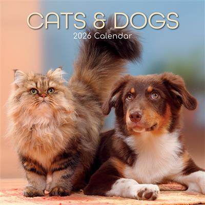2026 Calendar Cats & Dogs