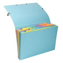 Exacompta 12 Part Expanding File