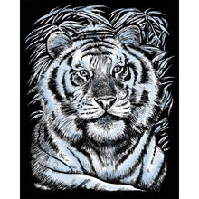 Artfoil Silver White Tiger