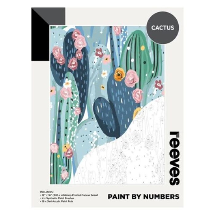 Reeves Paint by Numbers Cactus