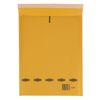 Padded Envelope Size C 170x225mm