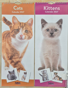 2027 Calendar Cats/Kittens