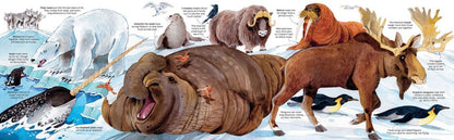 Big Book Of Animals