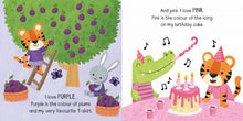 Colours Little Board Book