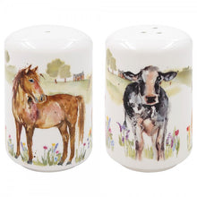 Farmyard Salt & Pepper Set