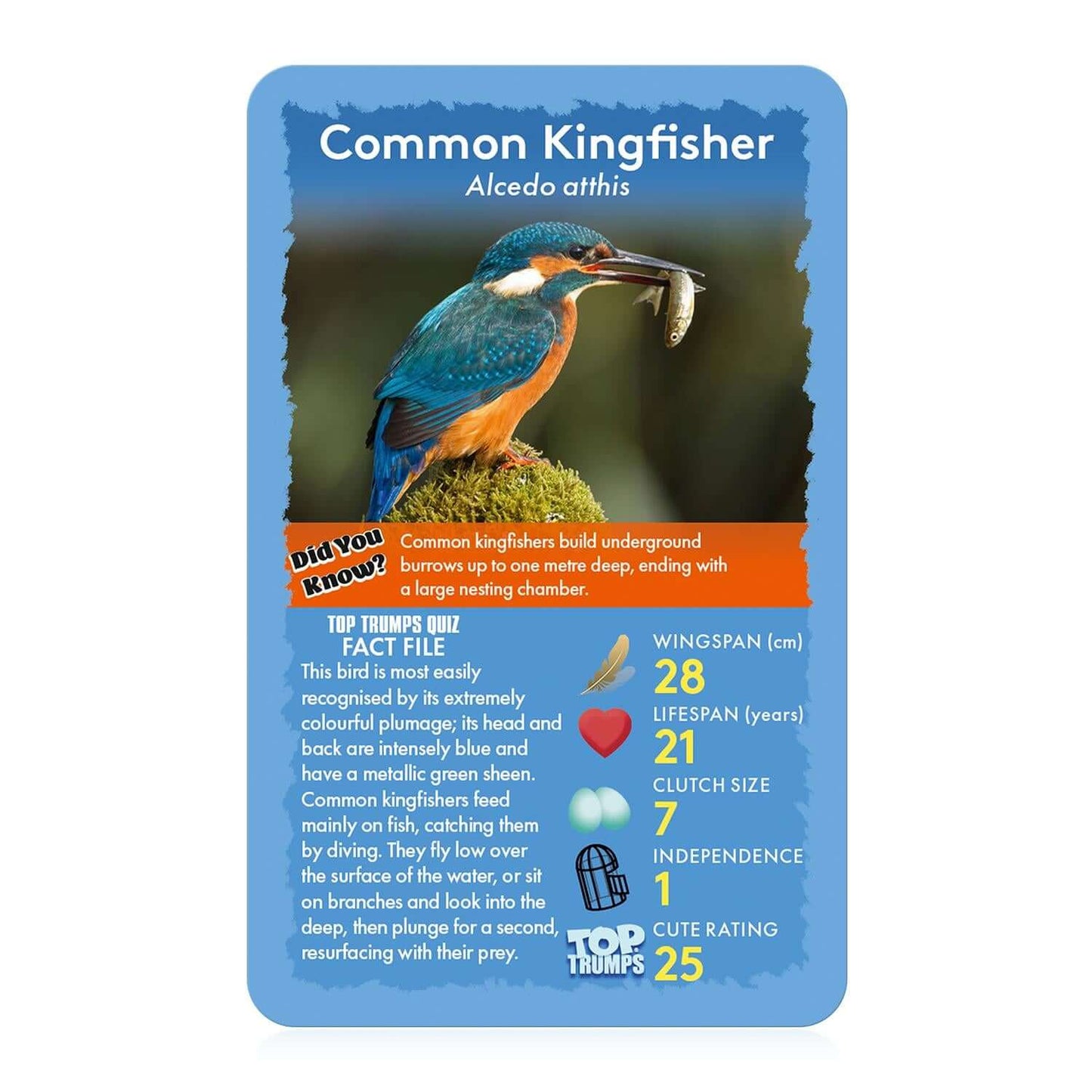 Top Trumps Birds Card Game