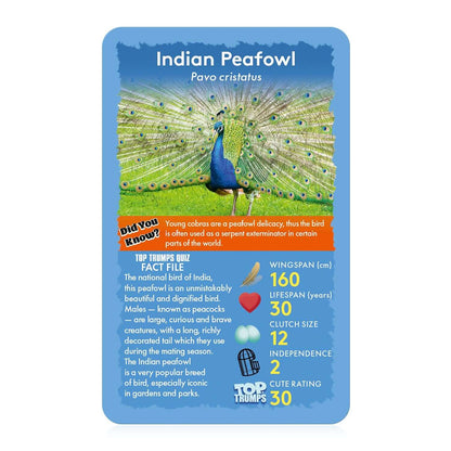 Top Trumps Birds Card Game