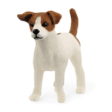 SCHELICH JACK RUSSELL TERRIER