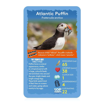 Top Trumps Birds Card Game