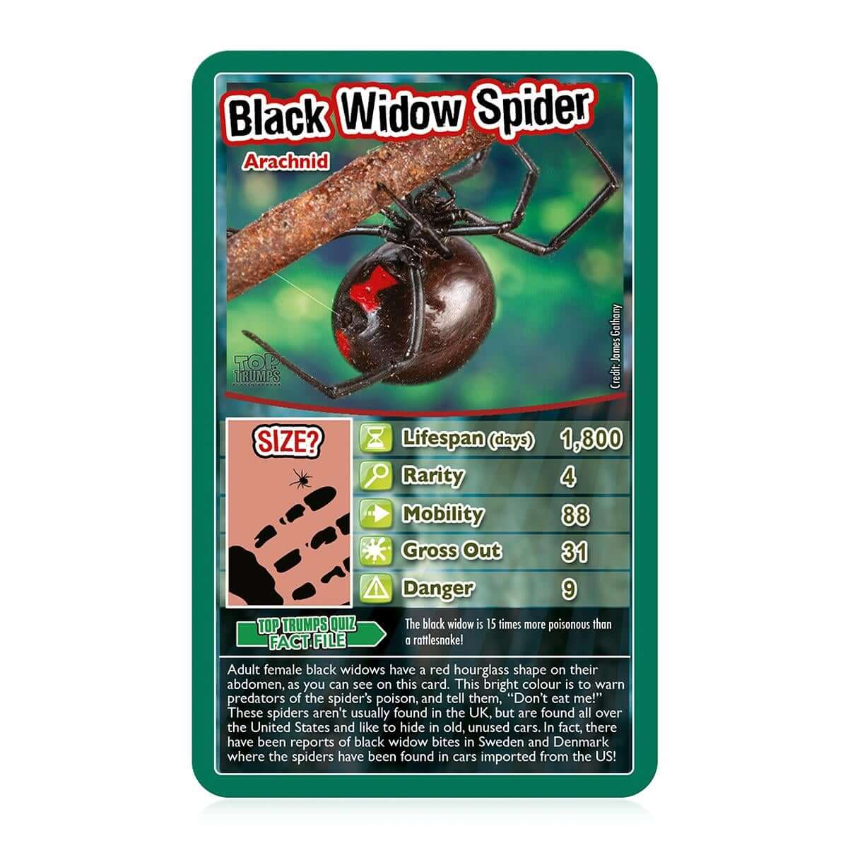 Top Trumps Bug Card Game