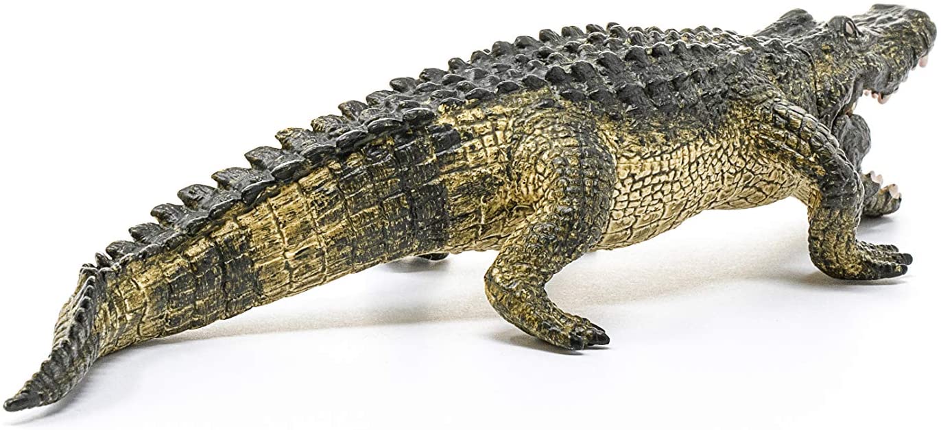 SCHELICH Alligator