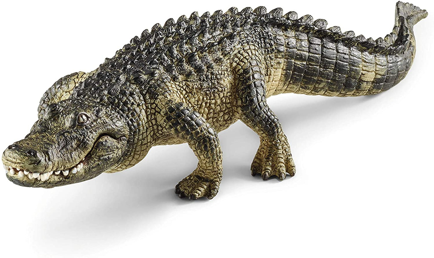 SCHELICH Alligator