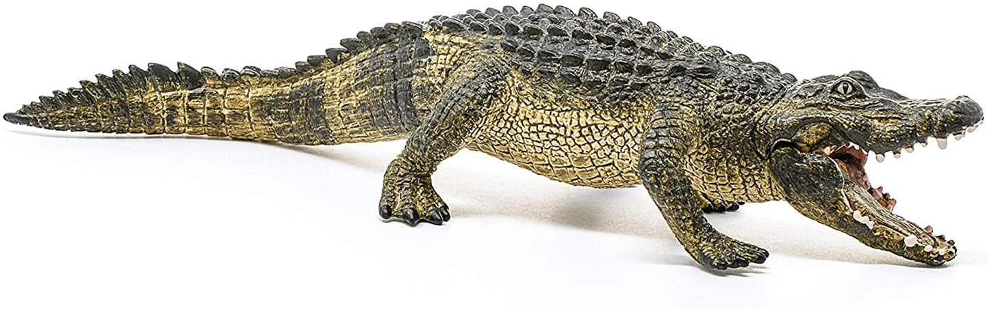 SCHELICH Alligator