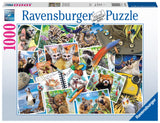Ravensburger Traveller's Animal Journal 1000 Piece Jigsaw Puzzle