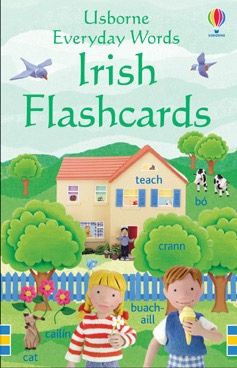 FLASHCARDS IRISH EVERYDAY WORD