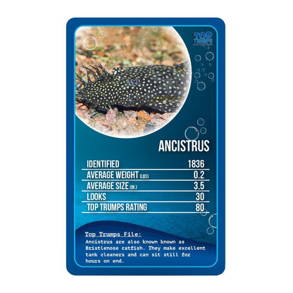 Top Trumps Freshwater Fish Card Game