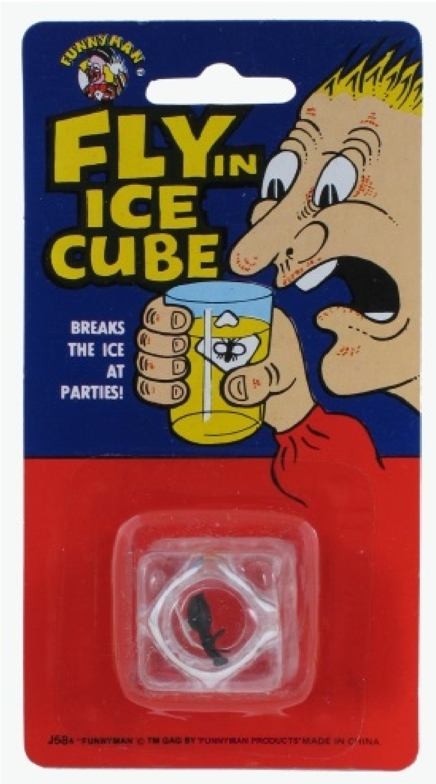 FLY IN ICE CUBE PRACTICAL JOKE