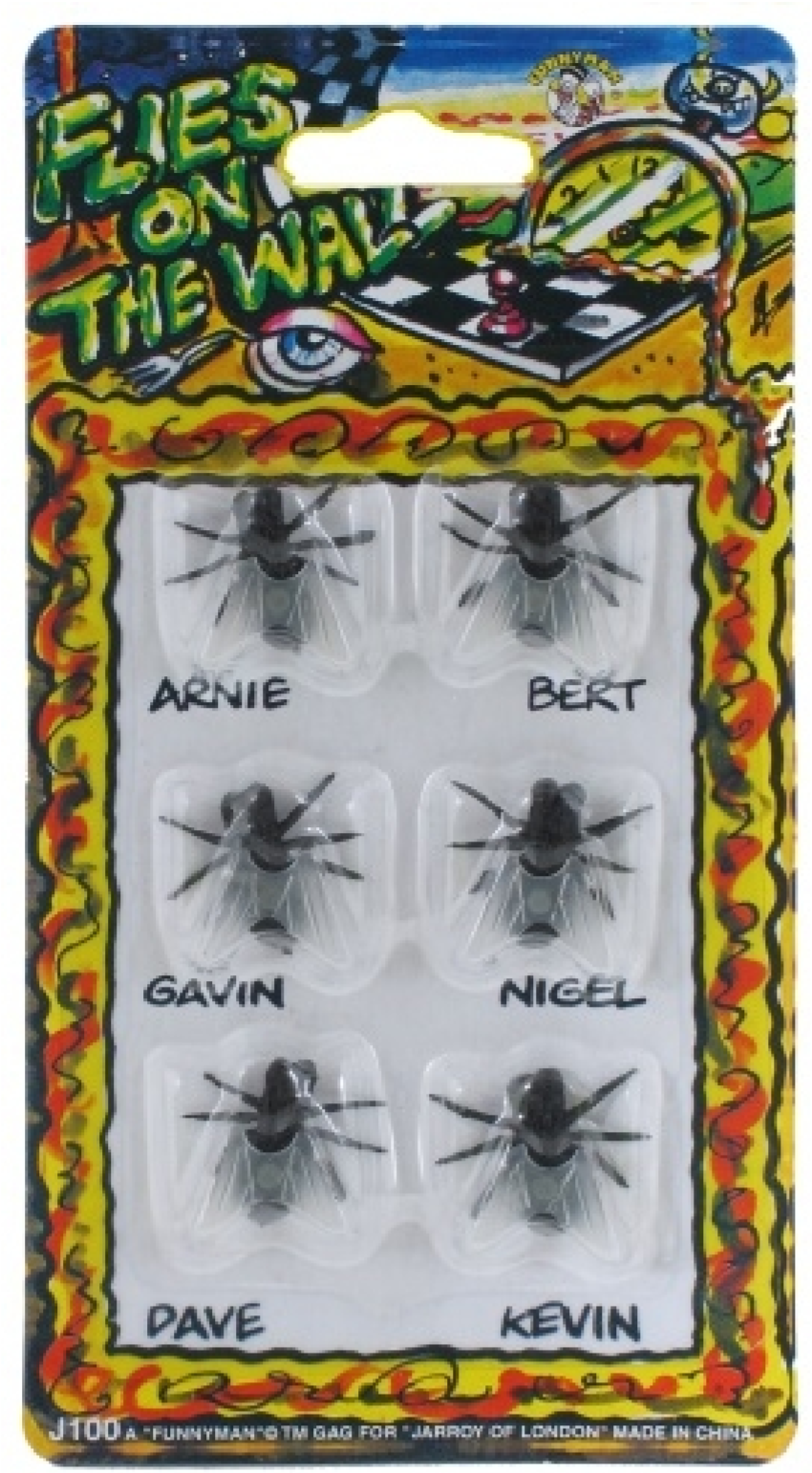 FLIES ON THE WALL PRACTICAL JOKE