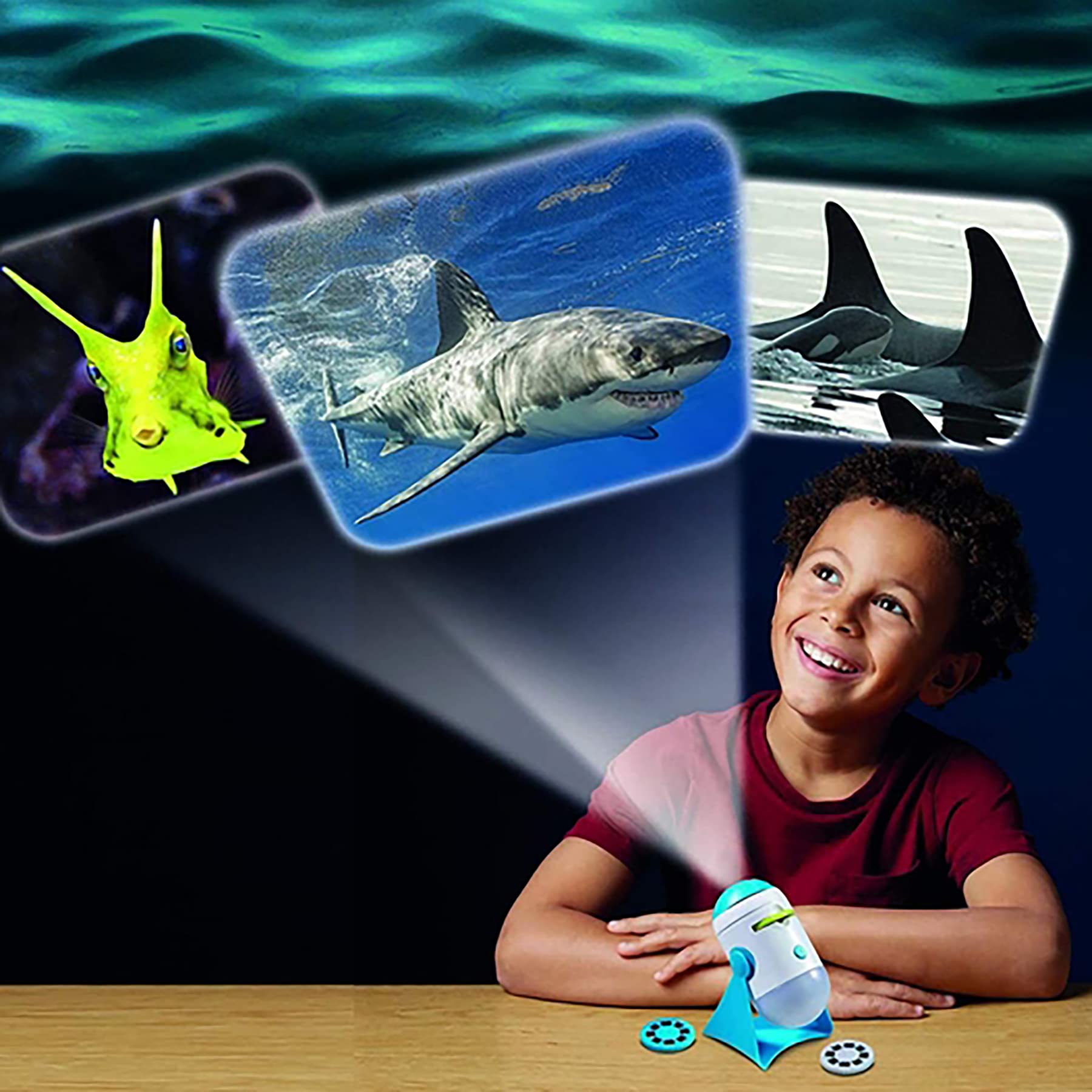 Sea Creatures Projector & Nightlight