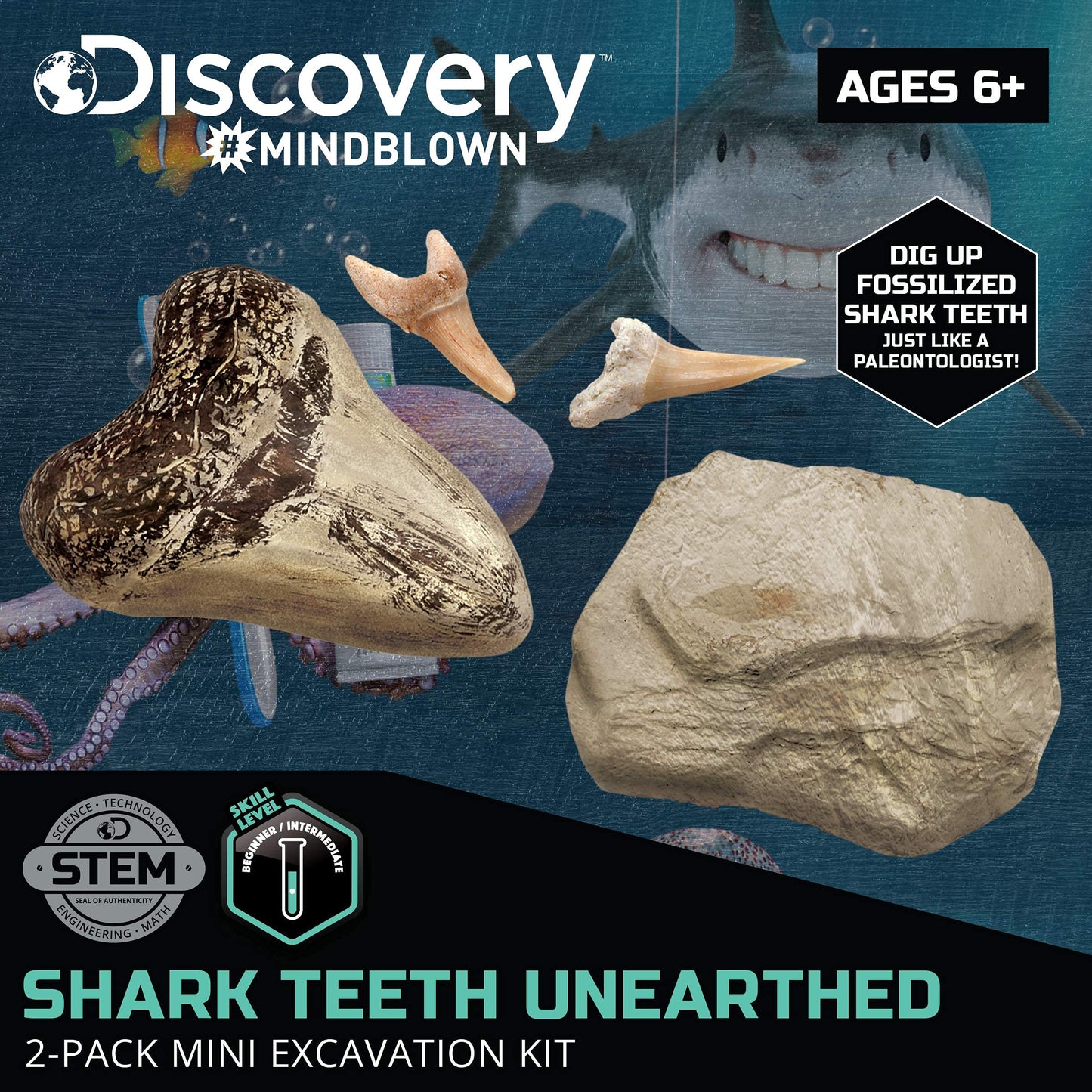 DISCOVERY MINI SHARK TOOTH EXCAVATION