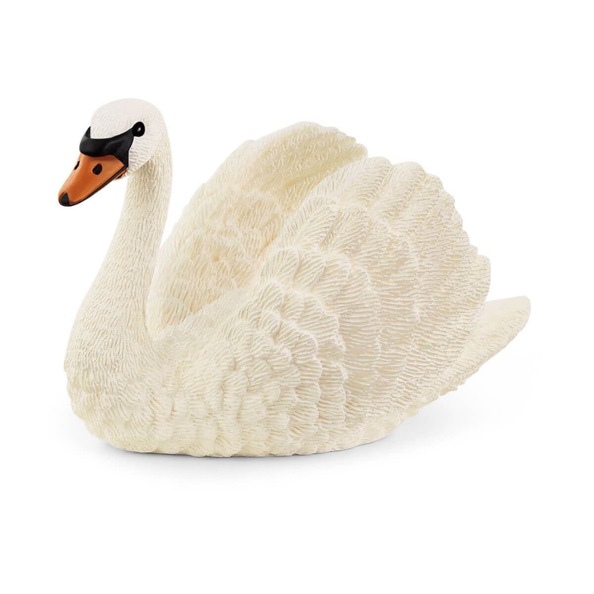 SCHELICH SWAN