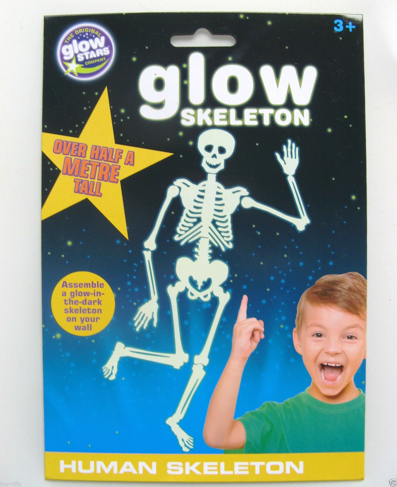 GLOW HUMAN SKELETON